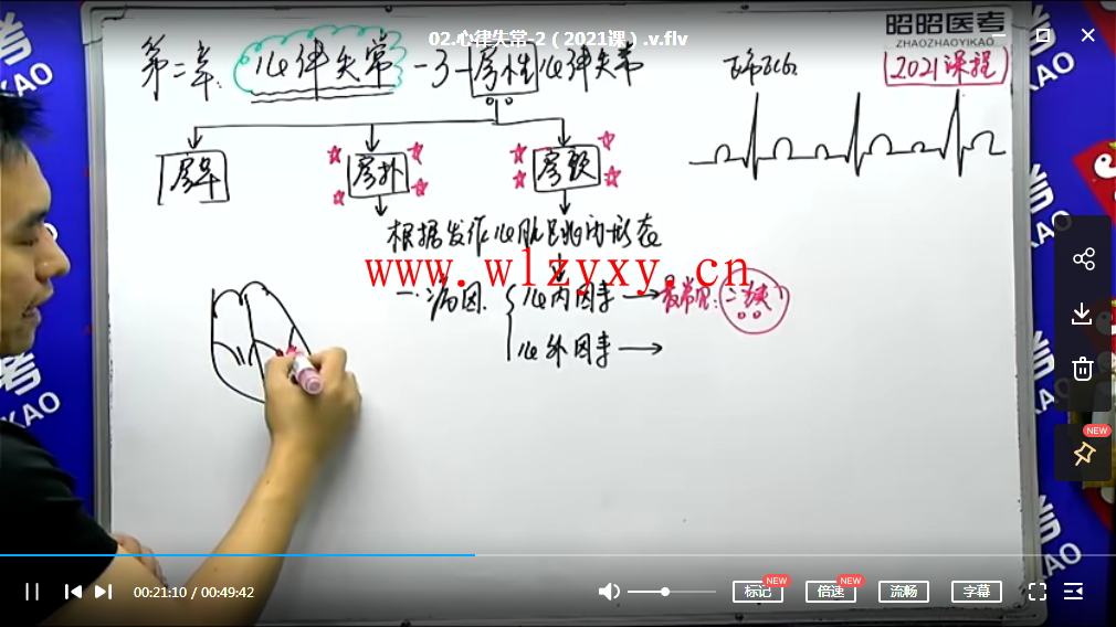 昭昭临床执业医师视频网课百度云插图3