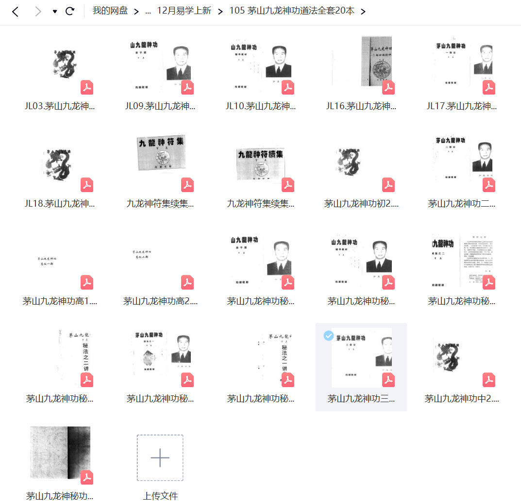 宇真道长九龙神功道法内部pdf资料插图1