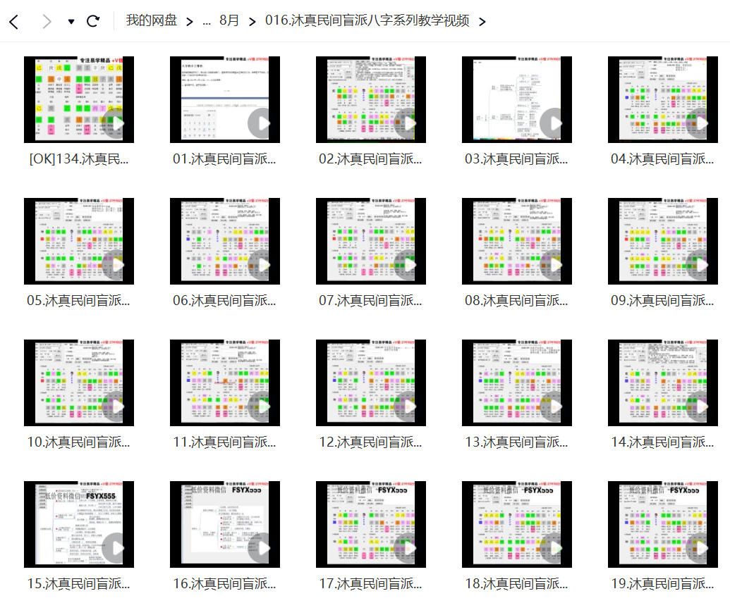 沐真民间盲派八字系列138集视频插图1