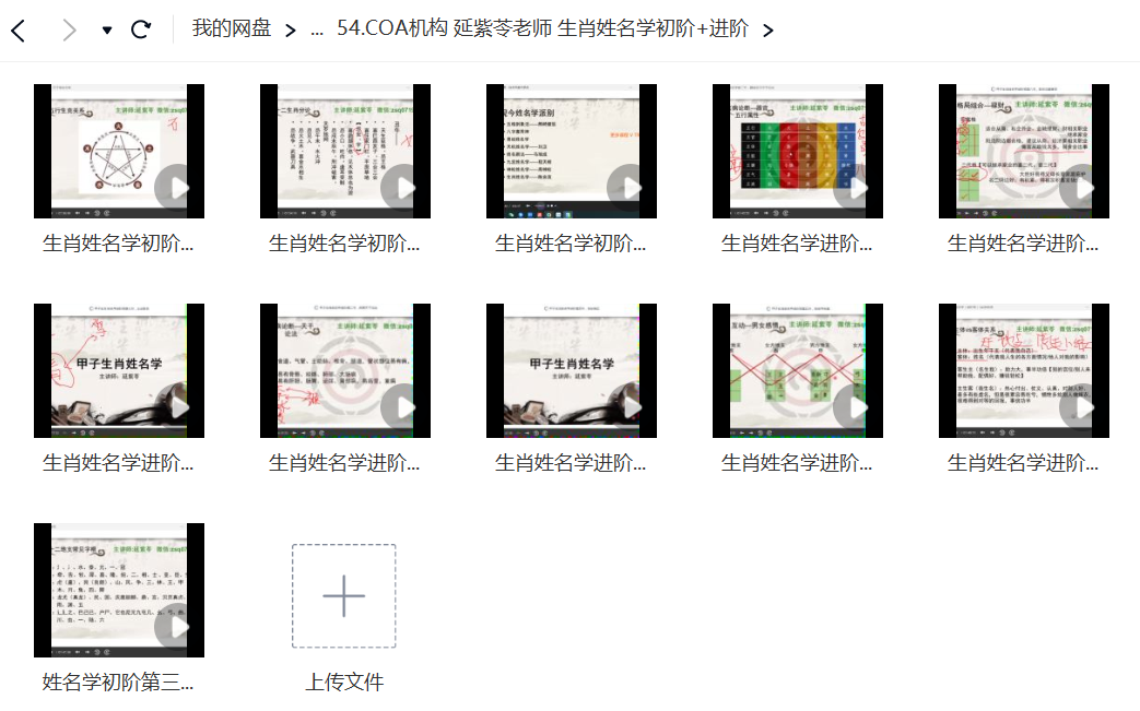 延紫苓老师 生肖姓名学视频插图