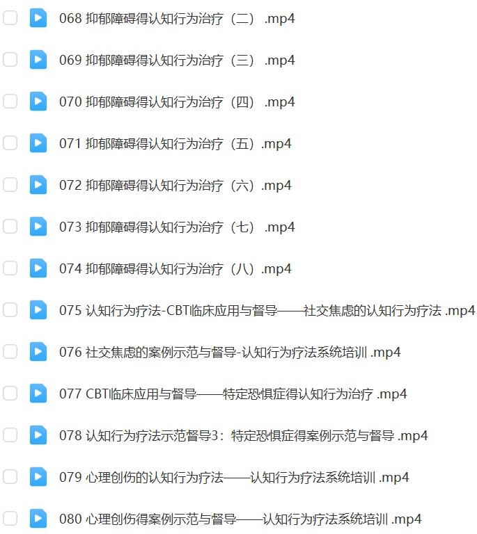 杨发辉•认知行为治疗系统培训项目网课资源插图
