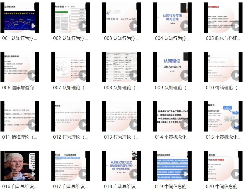 杨发辉•认知行为治疗系统培训项目网课资源插图1